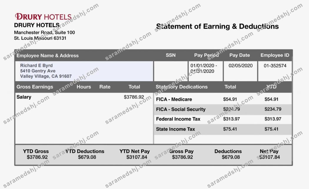 DRURY HOTELS EARNING STATMENT in PDF and Word formats
